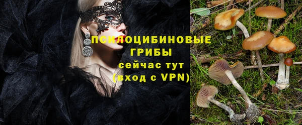 apvp Магас