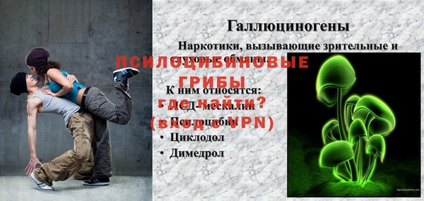 дживик Майский