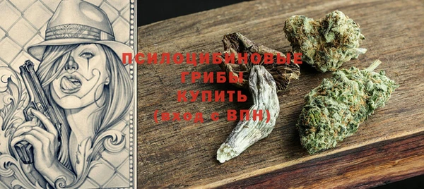 apvp Магас