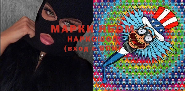 дживик Майский