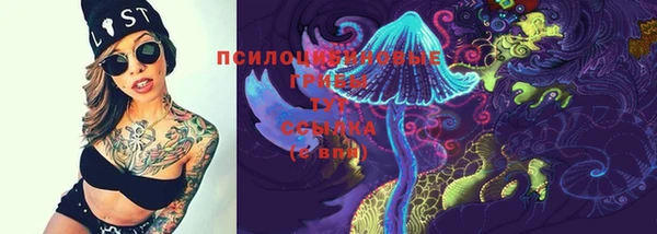 дживик Майский
