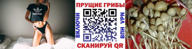 Галлюциногенные грибы мухоморы  Заринск 