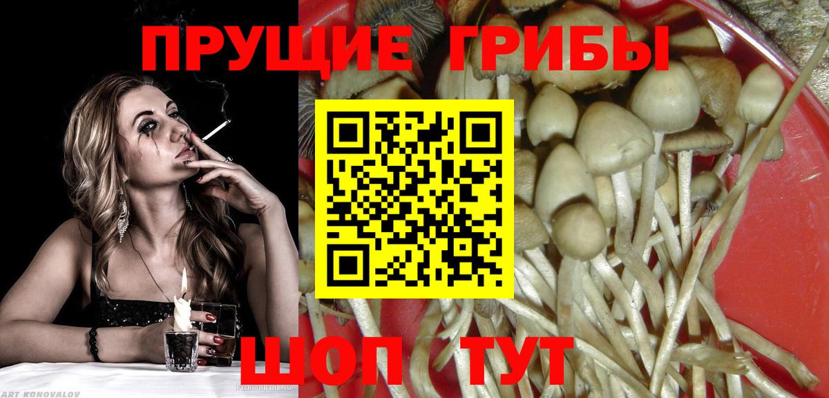 Псилоцибиновые грибы Magic Shrooms  Заринск  Галлюциногенные грибы прущие грибы 