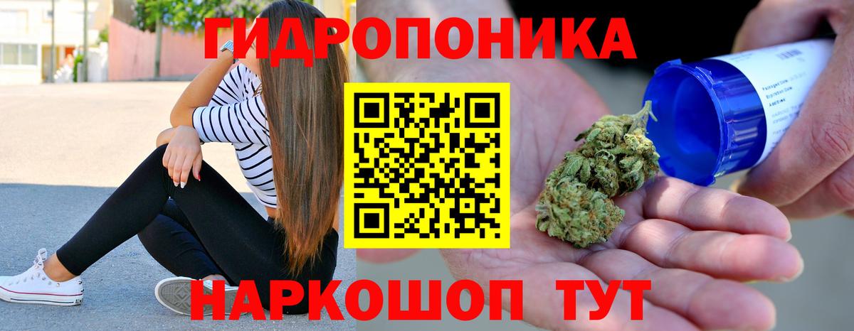 Конопля семена Заринск
